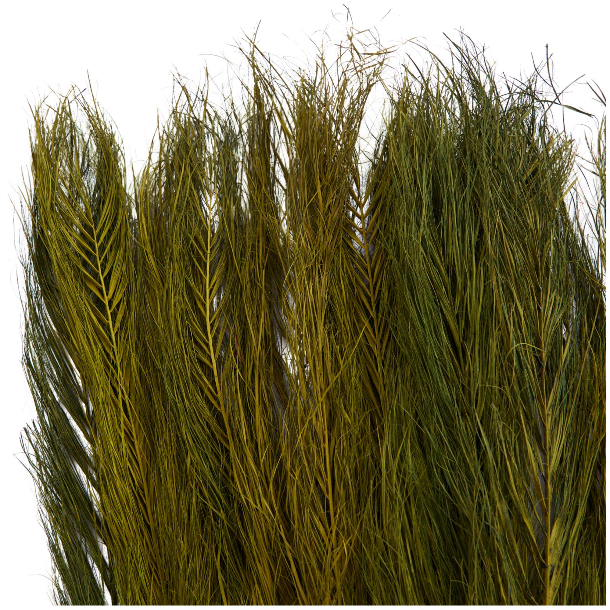 35" Natural Dried Palm Leaf Bundle with Feather-Inspired Stems
